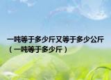 一吨等于多少斤又等于多少公斤（一吨等于多少斤）