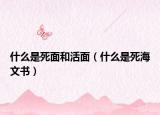 什么是死面和活面（什么是死海文书）