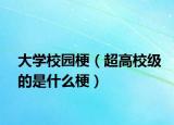 大学校园梗（超高校级的是什么梗）