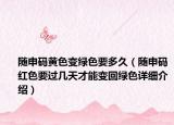 随申码黄色变绿色要多久（随申码红色要过几天才能变回绿色详细介绍）