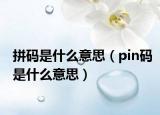 拼码是什么意思（pin码是什么意思）