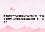 春蚕到死丝方尽蜡炬成灰泪始干打一生肖（春蚕到死丝方尽蜡炬成灰泪始干打一成语）