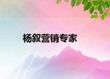杨叙营销专家