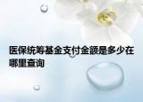 医保统筹基金支付金额是多少在哪里查询