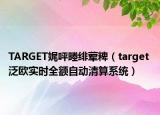 TARGET娓呯畻绯荤粺（target 泛欧实时全额自动清算系统）