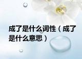 成了是什么词性（成了是什么意思）