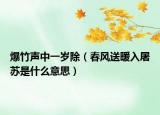 爆竹声中一岁除（春风送暖入屠苏是什么意思）