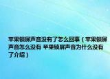 苹果锁屏声音没有了怎么回事（苹果锁屏声音怎么没有 苹果锁屏声音为什么没有了介绍）