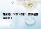 音浪是什么怎么获得（音浪是什么意思）