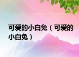 可爱的小白兔（可爱的小白兔）
