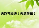 天然气板块（天然茅草）