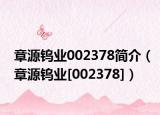 章源钨业002378简介（章源钨业[002378]）