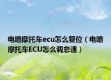 电喷摩托车ecu怎么复位（电喷摩托车ECU怎么调怠速）