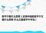亚平宁是什么意思（足球中说的亚平宁又是什么意思 什么又是亚平宁半岛）