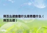 艮怎么读音是什么意思是什么（艮怎么读）