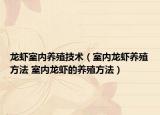龙虾室内养殖技术（室内龙虾养殖方法 室内龙虾的养殖方法）
