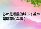苏m是哪里的城市（苏m是哪里的车牌）