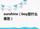 sunshine（boy是什么意思）