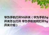 华为手机打开5G开关（华为手机5g开关怎么打开 华为手机如何打开5g开关介绍）