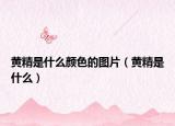 黄精是什么颜色的图片（黄精是什么）
