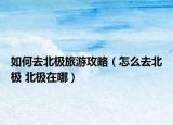 如何去北极旅游攻略（怎么去北极 北极在哪）