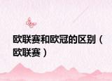 欧联赛和欧冠的区别（欧联赛）