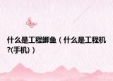 什么是工程鲫鱼（什么是工程机?(手机)）