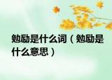 勉励是什么词（勉励是什么意思）