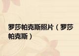 罗莎帕克斯照片（罗莎帕克斯）