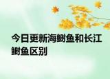 今日更新海鲥鱼和长江鲥鱼区别
