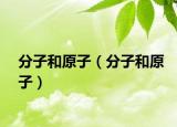分子和原子（分子和原子）