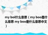 my boi什么意思（my boo是什么意思 my boo是什么意思中文）