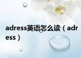 adress英语怎么读（adress）