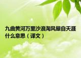 九曲黄河万里沙浪淘风簸自天涯什么意思（译文）
