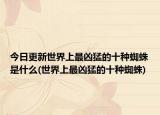今日更新世界上最凶猛的十种蜘蛛是什么(世界上最凶猛的十种蜘蛛)