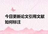 今日更新论文引用文献如何标注
