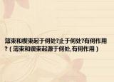 薄束和楔束起于何处?止于何处?有何作用?（薄束和锲束起源于何处,有何作用）