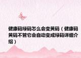 健康码绿码怎么会变黄码（健康码黄码不管它会自动变成绿码详细介绍）