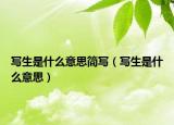 写生是什么意思简写（写生是什么意思）