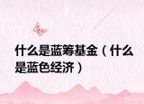 什么是蓝筹基金（什么是蓝色经济）