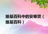 维基百科中的安宰贤（维基百科）