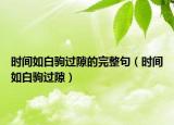 时间如白驹过隙的完整句（时间如白驹过隙）