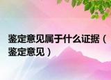 鉴定意见属于什么证据（鉴定意见）