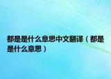 都是是什么意思中文翻译（都是是什么意思）