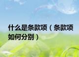 什么是条款项（条款项如何分别）