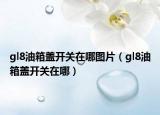 gl8油箱盖开关在哪图片（gl8油箱盖开关在哪）