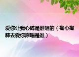 爱你让我心碎是谁唱的（掏心掏肺去爱你原唱是谁）