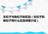 生松子与熟松子的区别（生松子和熟松子有什么区别详细介绍）