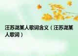 汪苏泷某人歌词含义（汪苏泷某人歌词）