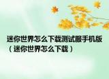 迷你世界怎么下载测试服手机版（迷你世界怎么下载）